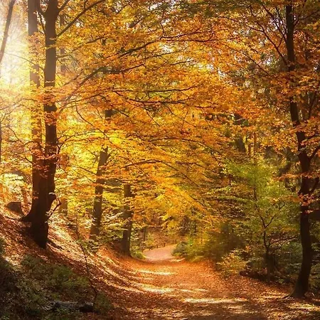 4 Personen *parkplatz, Wlan, Waschmaschine* Bad Schandau