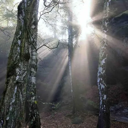 Lejlighed 4 Personen *parkplatz, Wlan, Waschmaschine* *