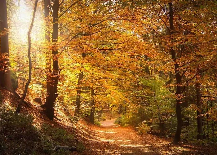 4 Personen *parkplatz, Wlan, Waschmaschine* Bad Schandau